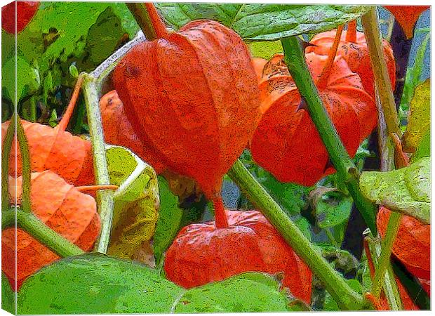 Chinese Lanterns Canvas Print by Antoinette B