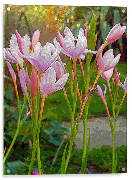Kaffir Lilies Acrylic by Antoinette B