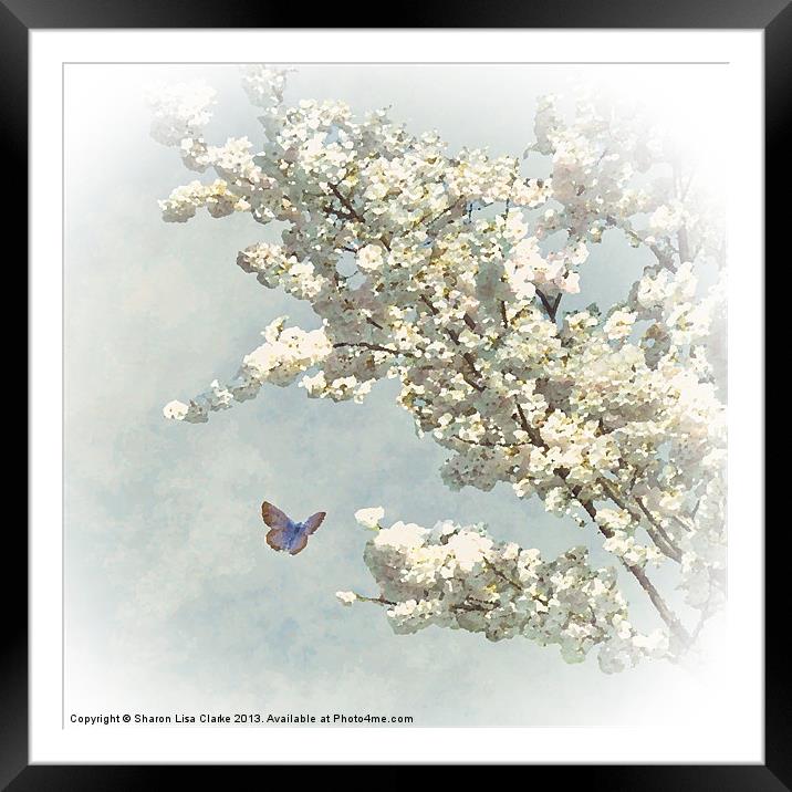 Blossom Delight Framed Mounted Print by Sharon Lisa Clarke
