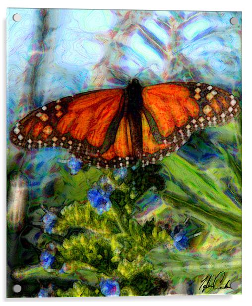 Pacific Grove Butterfly Acrylic by Tyler  Crocker