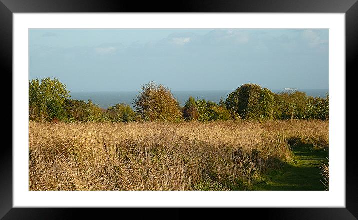 The meadow with seaviews Framed Mounted Print by Antoinette B