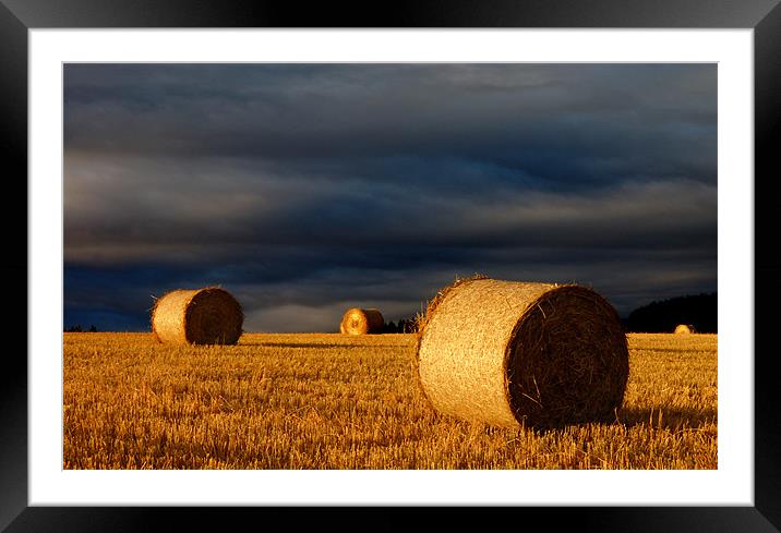 Bales Framed Mounted Print by Macrae Images