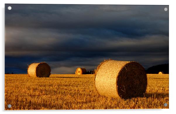 Bales Acrylic by Macrae Images