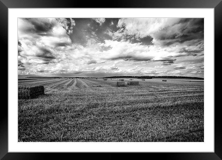 harvest Framed Mounted Print by Jo Beerens