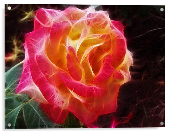 1773-fractal rose Acrylic by elvira ladocki