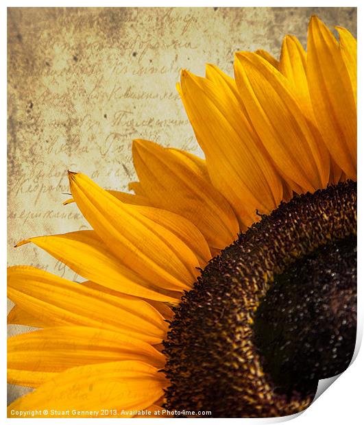 Textured Sunflower Print by Stuart Gennery