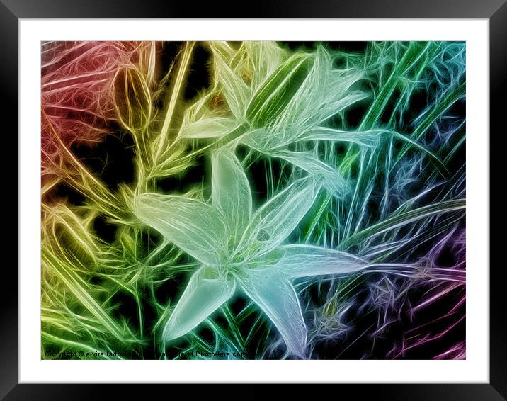 fractal lilys Framed Mounted Print by elvira ladocki