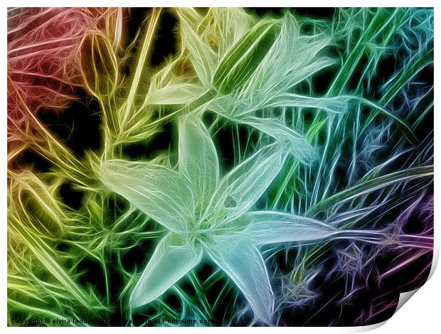 fractal lilys Print by elvira ladocki