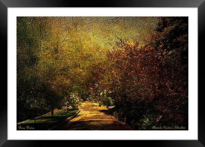 Pathway into the unknown ( Alameda Gardens) Framed Mounted Print by Fine art by Rina