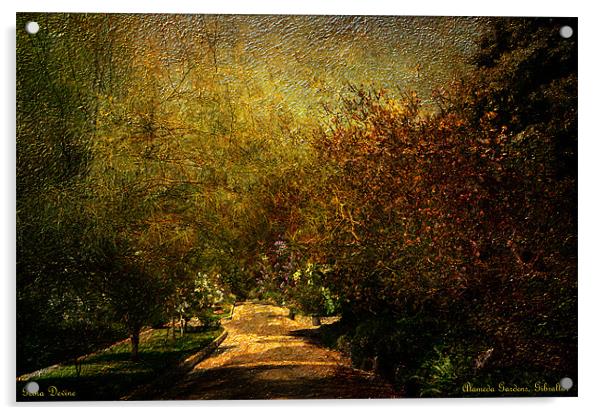 Pathway into the unknown ( Alameda Gardens) Acrylic by Fine art by Rina