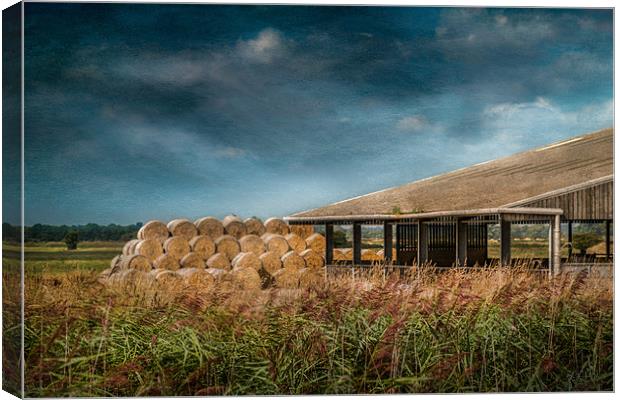 Hay Bales and Barn Canvas Print by Stephen Mole