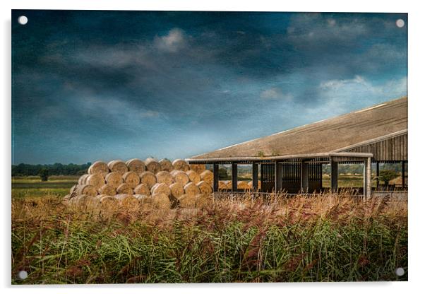 Hay Bales and Barn Acrylic by Stephen Mole