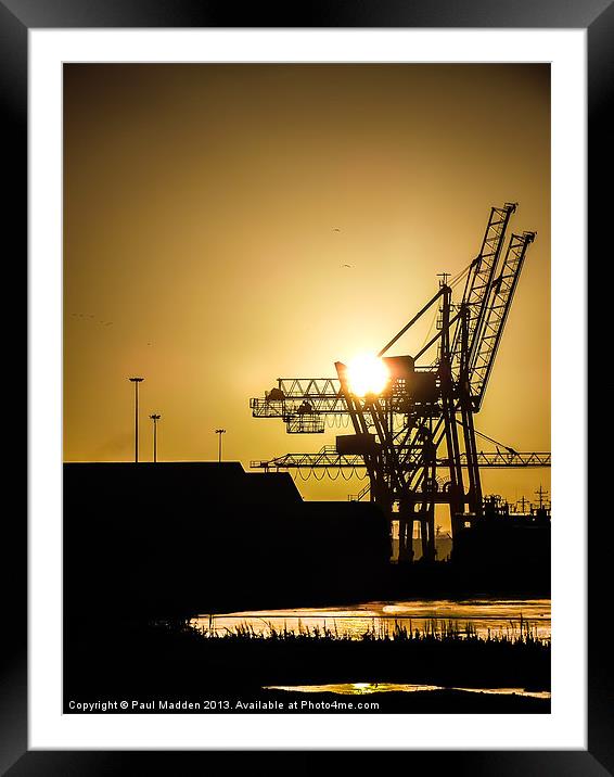 Sunrise at the docks Framed Mounted Print by Paul Madden