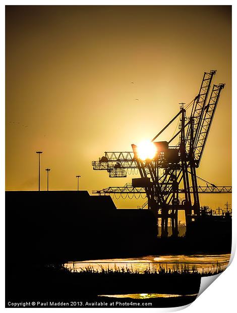 Sunrise at the docks Print by Paul Madden
