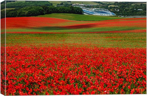 Fields of Red Canvas Print by sam moore