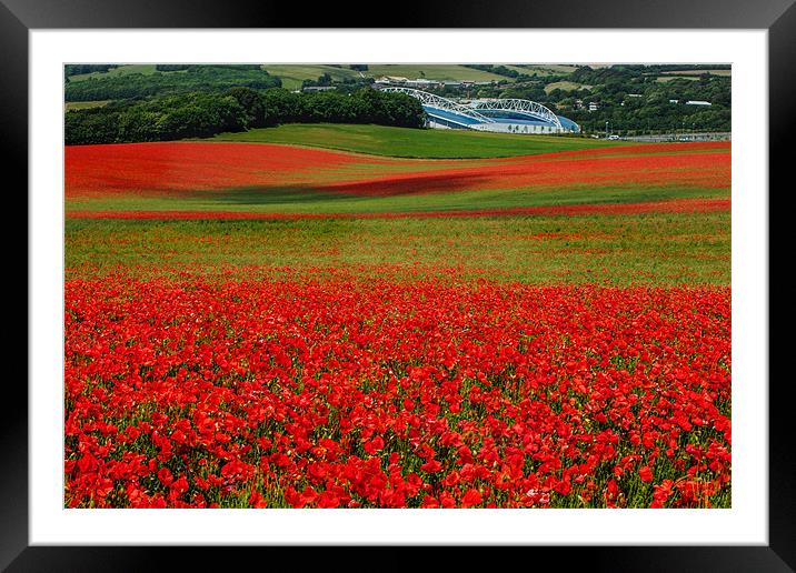 Fields of Red Framed Mounted Print by sam moore