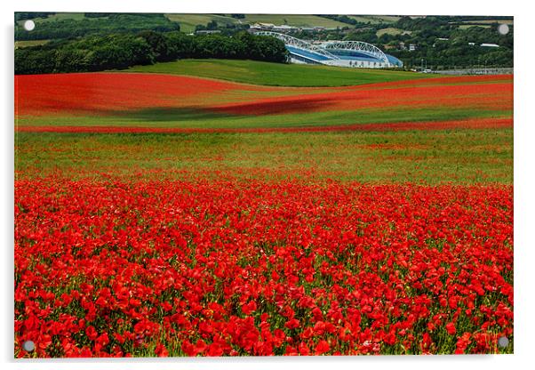 Fields of Red Acrylic by sam moore