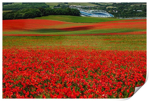 Fields of Red Print by sam moore