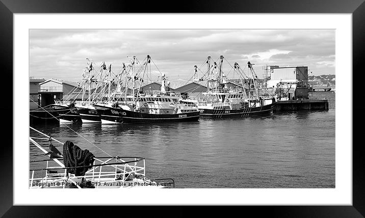 Brixham Trawlers in Port Framed Mounted Print by Peter F Hunt