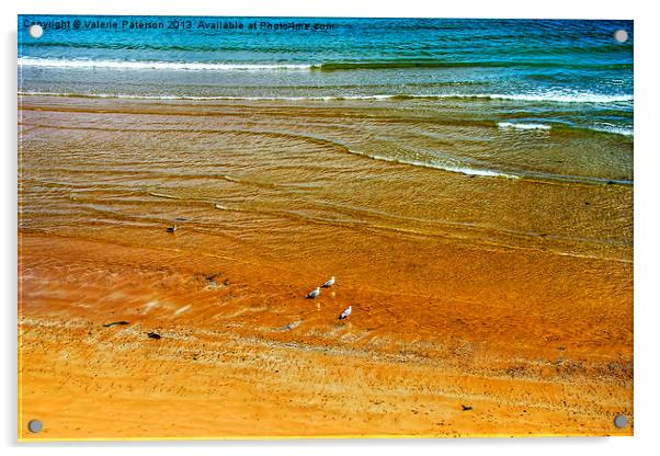 Golden Sands Of Aberdeen Acrylic by Valerie Paterson