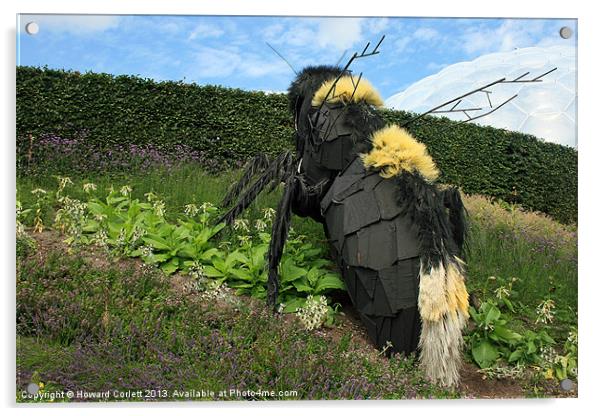Giant Bee Acrylic by Howard Corlett