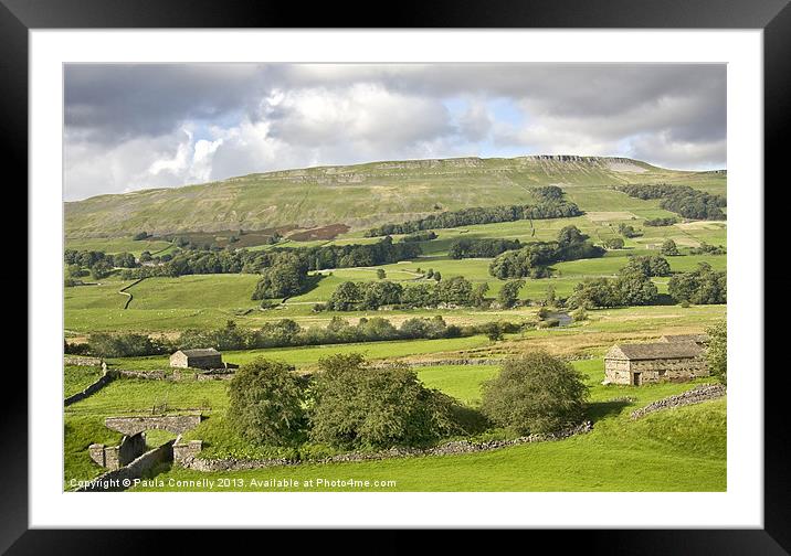 Wensleydale Framed Mounted Print by Paula Connelly
