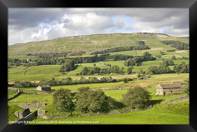 Wensleydale Framed Print by Paula Connelly