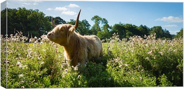 Summers End Canvas Print by Simon Wrigglesworth