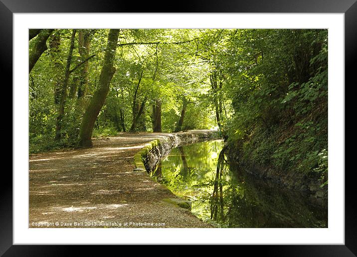 Tavistock Canal Framed Mounted Print by Dave Bell