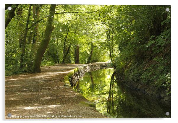 Tavistock Canal Acrylic by Dave Bell
