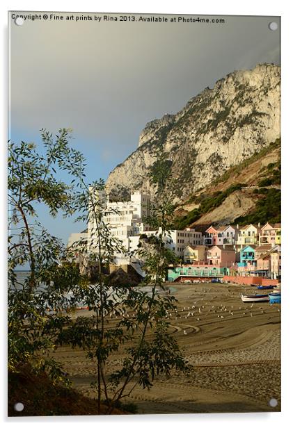 Catalan Bay, Gibraltar Acrylic by Fine art by Rina