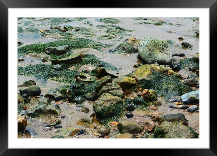 West Mersea Beach Framed Mounted Print by Luke Wakely