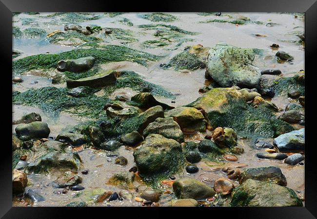 West Mersea Beach Framed Print by Luke Wakely