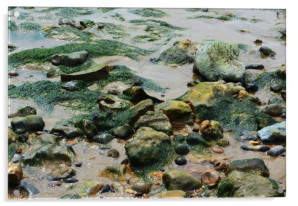 West Mersea Beach Acrylic by Luke Wakely