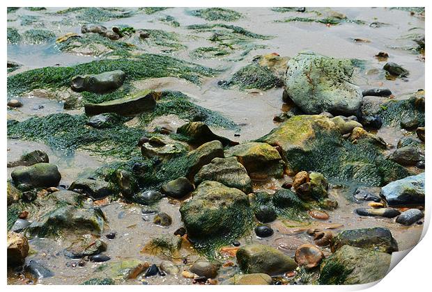 West Mersea Beach Print by Luke Wakely