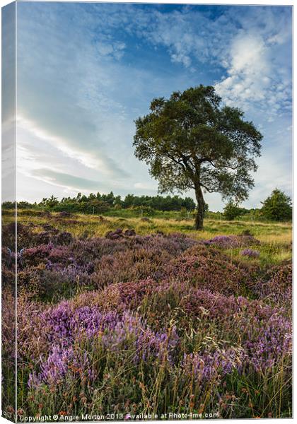 Heather and Hawthorn Canvas Print by Angie Morton