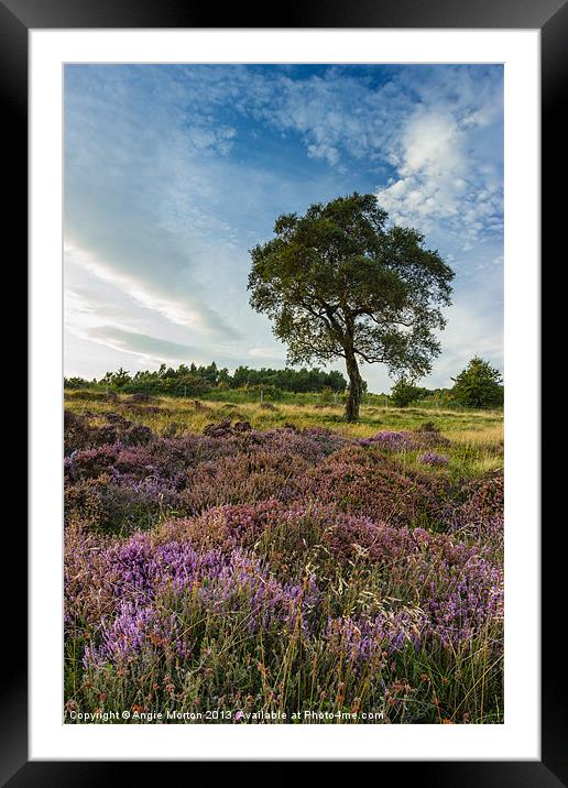 Heather and Hawthorn Framed Mounted Print by Angie Morton