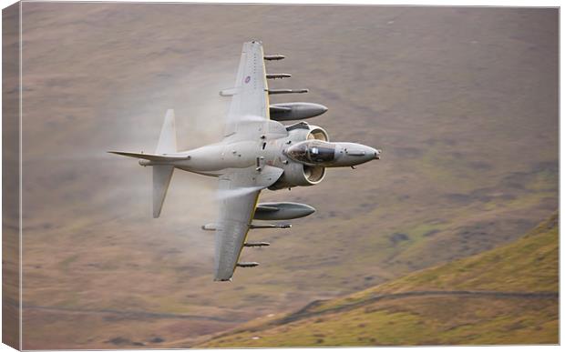 Raf Harrier Canvas Print by Rory Trappe