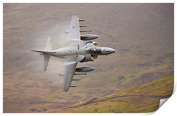 Raf Harrier Print by Rory Trappe
