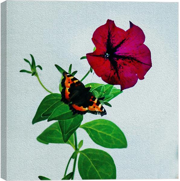 The Butterfly and the Flower Canvas Print by Matthew Laming