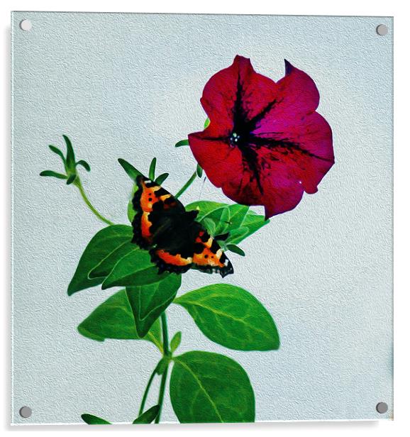 The Butterfly and the Flower Acrylic by Matthew Laming