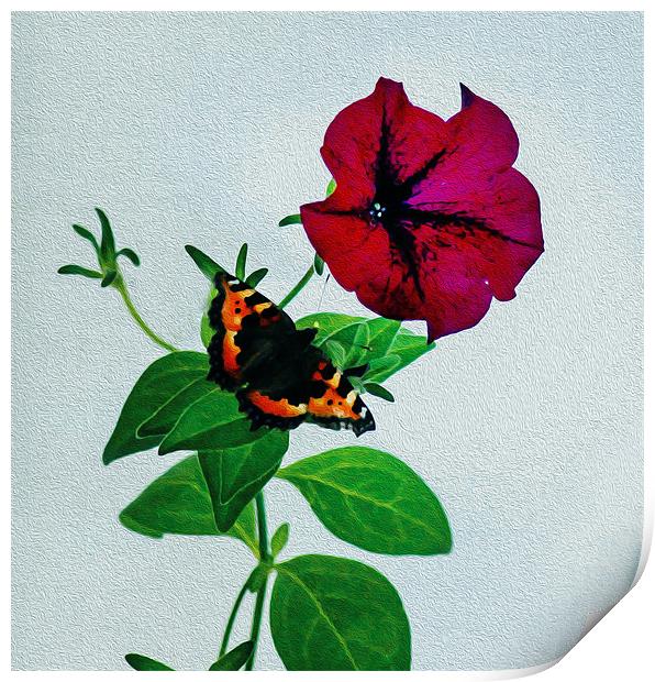 The Butterfly and the Flower Print by Matthew Laming
