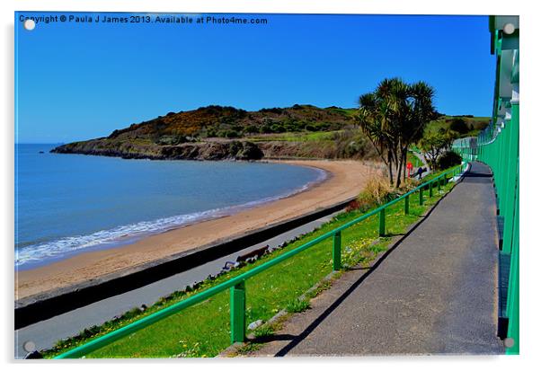 Langland Bay Acrylic by Paula J James