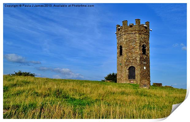 The Folly Tower, Pontypool Print by Paula J James