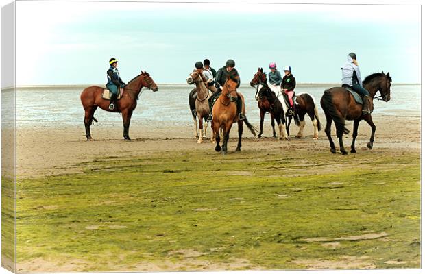 Horses Training on the Causeway to Lindisfarne, No Canvas Print by Paul M Baxter