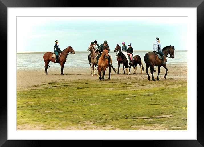 Horses Training on the Causeway to Lindisfarne, No Framed Mounted Print by Paul M Baxter