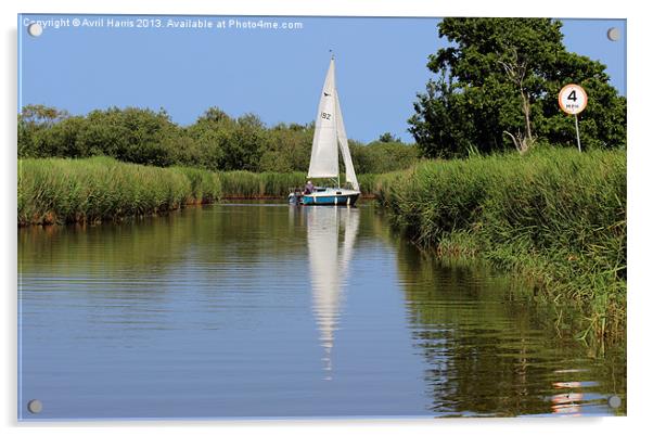 Sailing on the Norfolk Broads Acrylic by Avril Harris