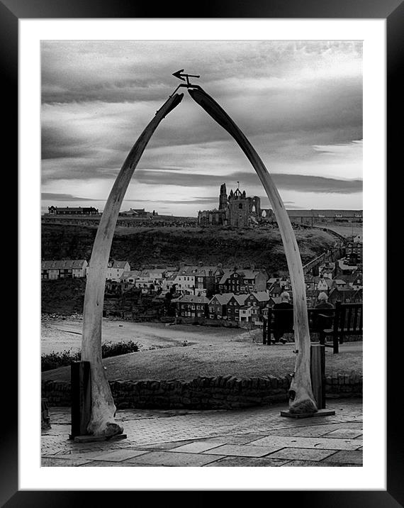 Whitby Whale Bones Framed Mounted Print by Nige Morton