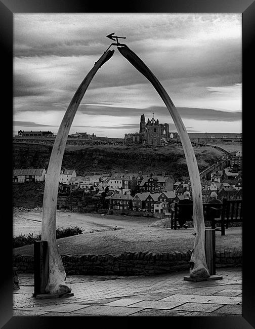 Whitby Whale Bones Framed Print by Nige Morton
