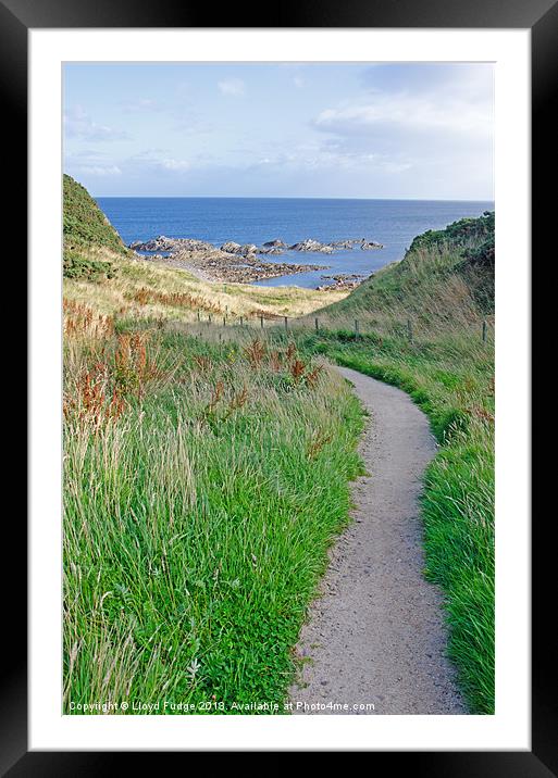 path down to beach Framed Mounted Print by Lloyd Fudge